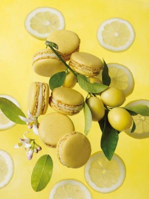 Macaron infiniment citron © Bernhard Winkelmann 
